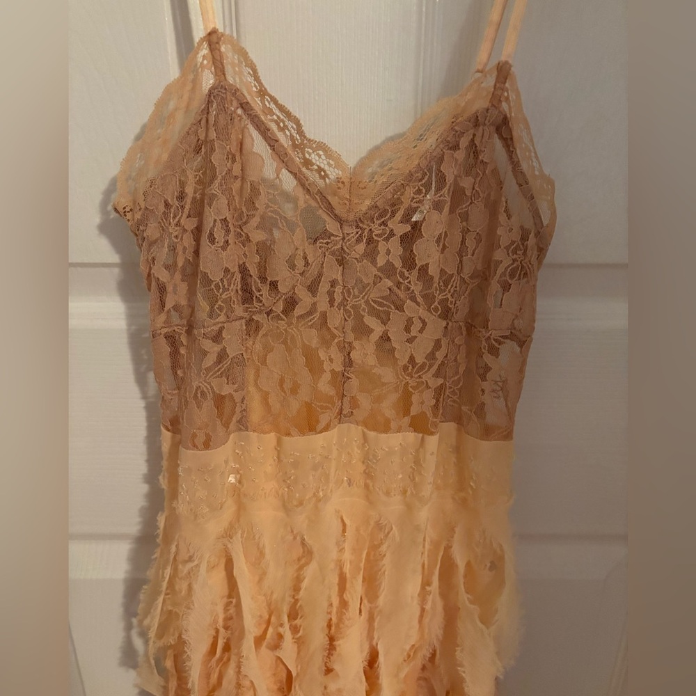 Free People Feather Beaded Lace Chiffon Dress - Picture 4 of 6